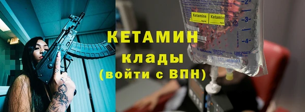 крисы Алексин