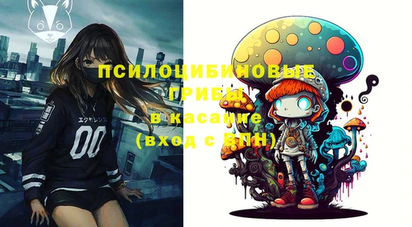 крисы Алексин