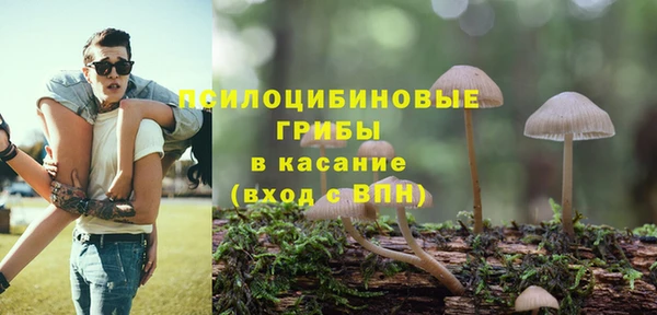 прущие крисы Алзамай