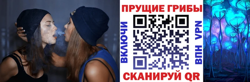 Псилоцибиновые грибы Magic Shrooms  Артём 
